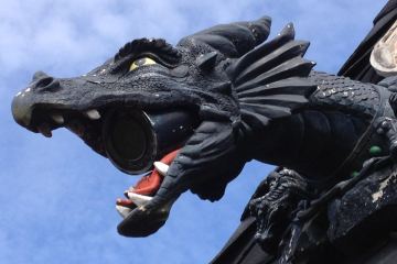 BooParkBlackDragon