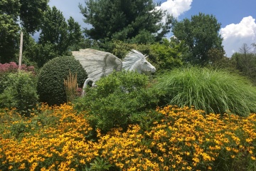 BooParkPegasus