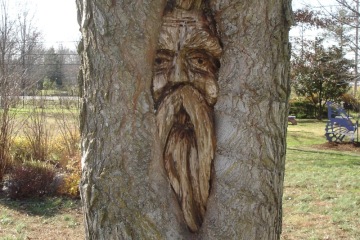 BooParkTreeFace